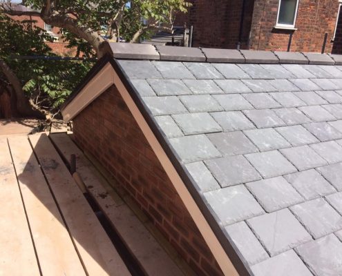 extension roof and exterior