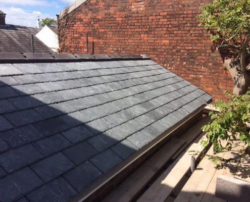 extension roof and exterior