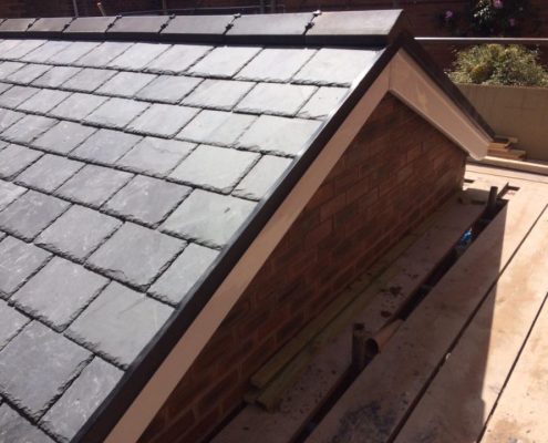 extension roof and exterior